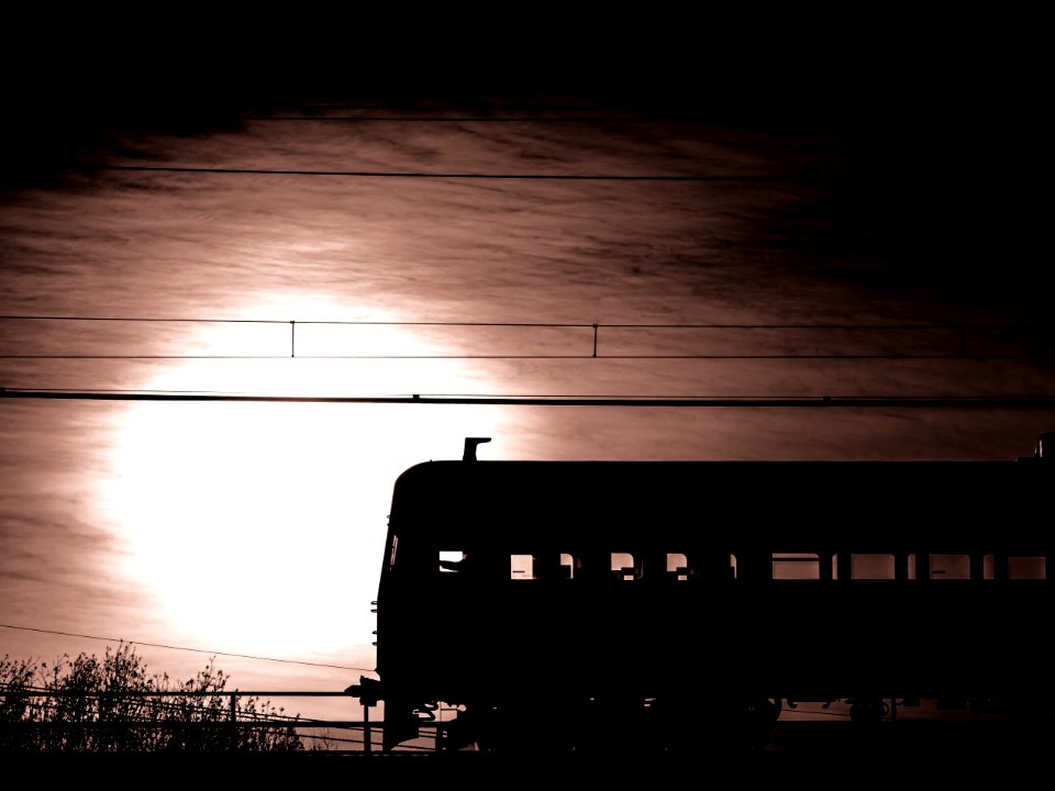Silhouette of Seibu 101 Series 253F