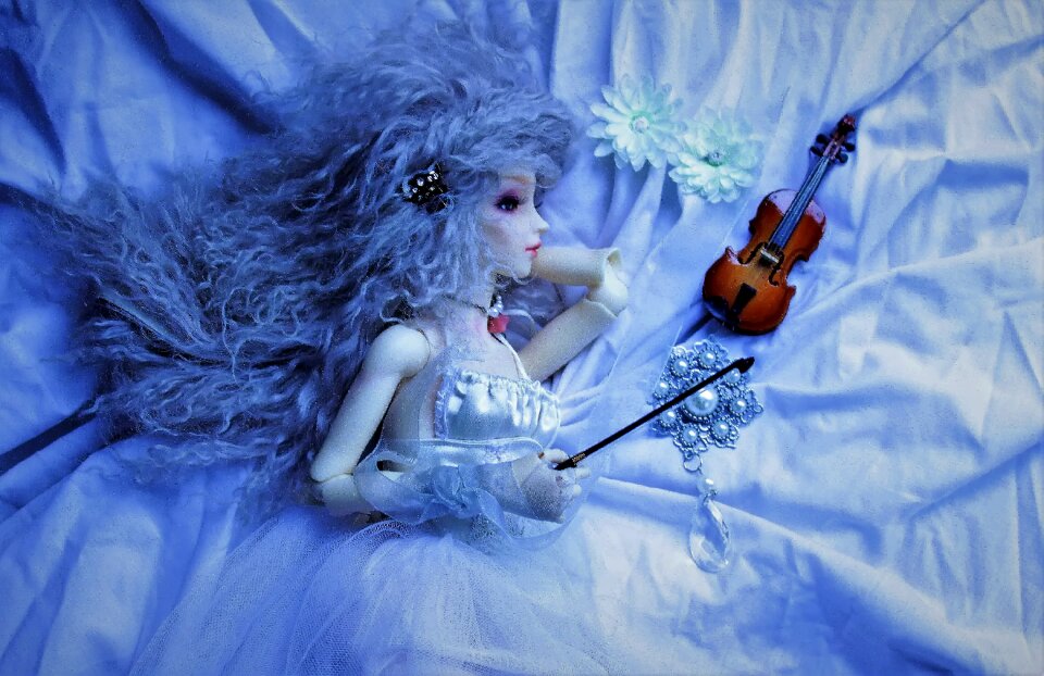 Blue fairy attraction