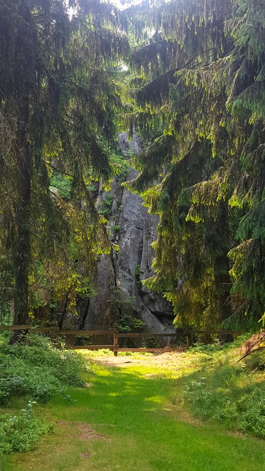 Silberort auf Preußische Velmerstot (2)