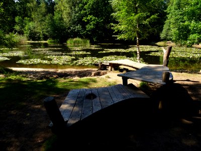 Silbersee Pond Dresden Heide DSC05343