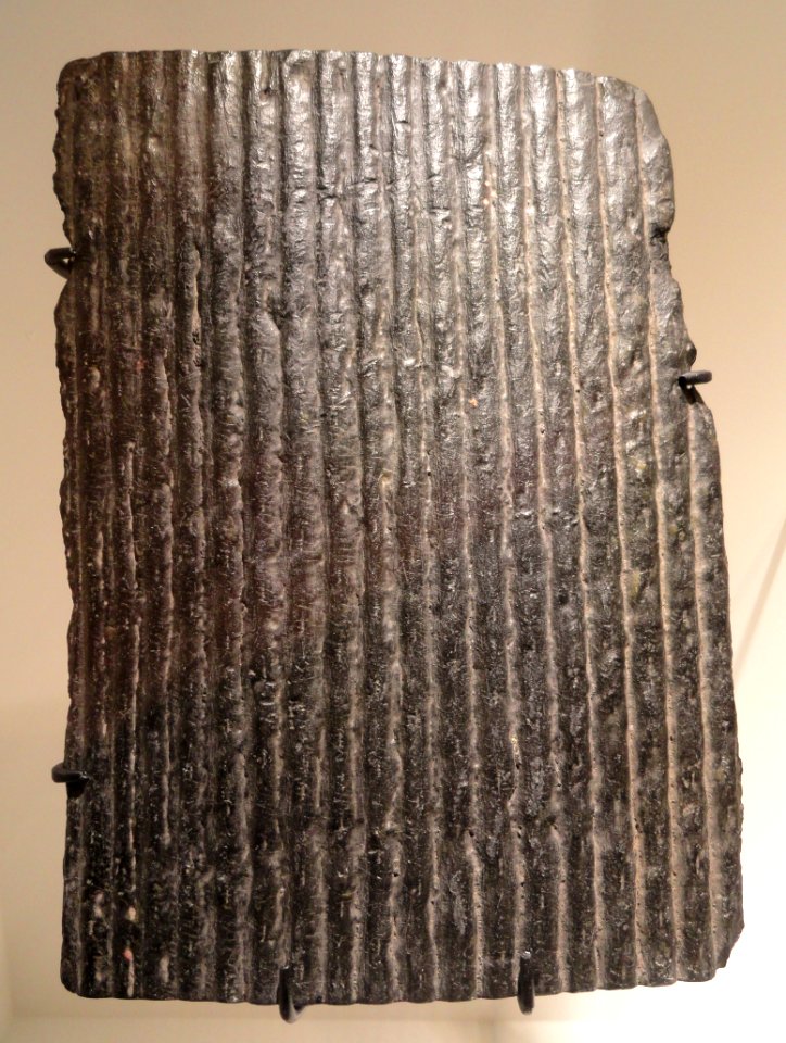 Sigillaria sp., Carboniferous (Pennsylvanian), Anzin Coal Mines, Anzin, Nord, France - Houston Museum of Natural Science - DSC01744