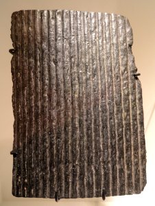 Sigillaria sp., Carboniferous (Pennsylvanian), Anzin Coal Mines, Anzin, Nord, France - Houston Museum of Natural Science - DSC01744