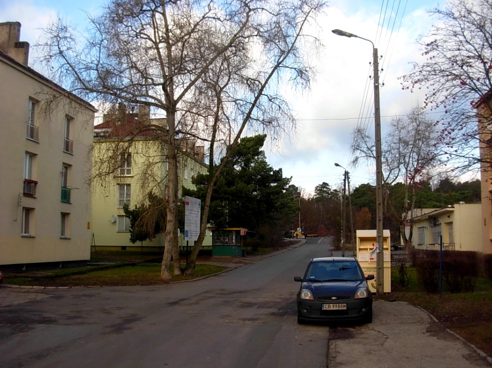 Siernieczek ul Sochaczewska Bydg 11-2012