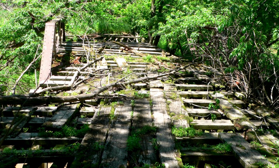 Sicily Creek PWF Rd bridge deck 1