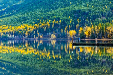 Landscape forest trees photo