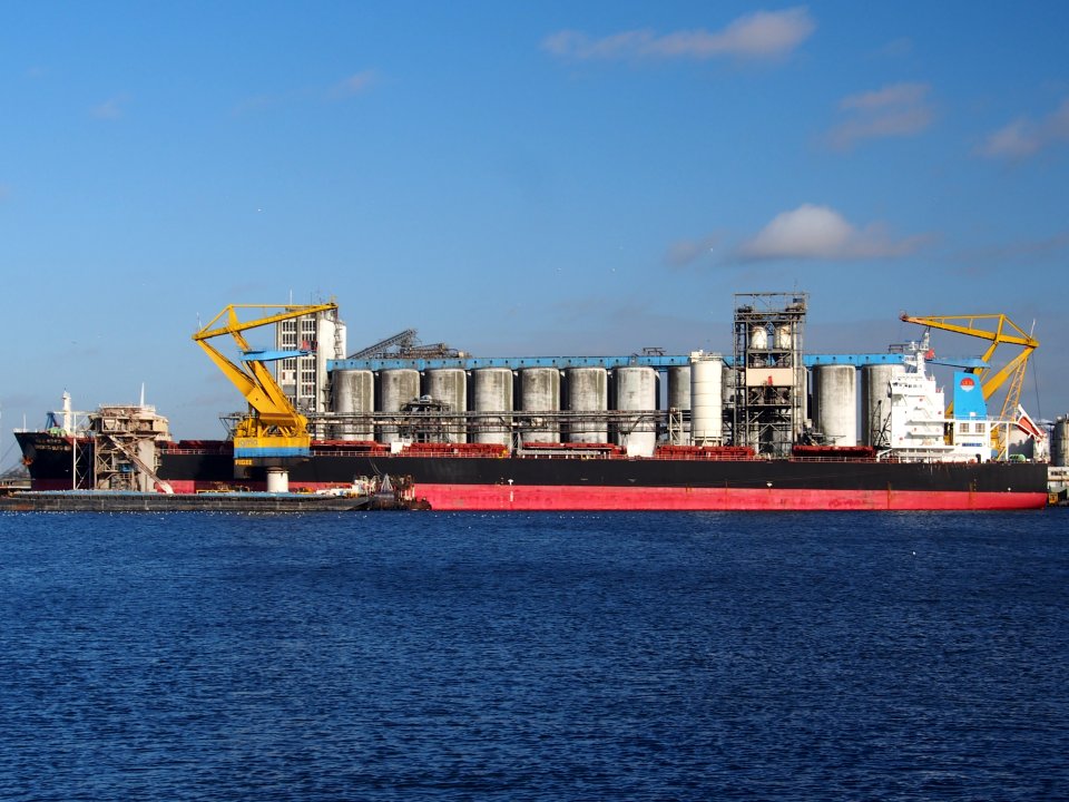 Sinokor Sunrise, IMO 9602148 at Port of Amsterdam, photo2