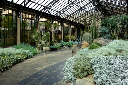 Silver Garden - Longwood Gardens - DSC01122