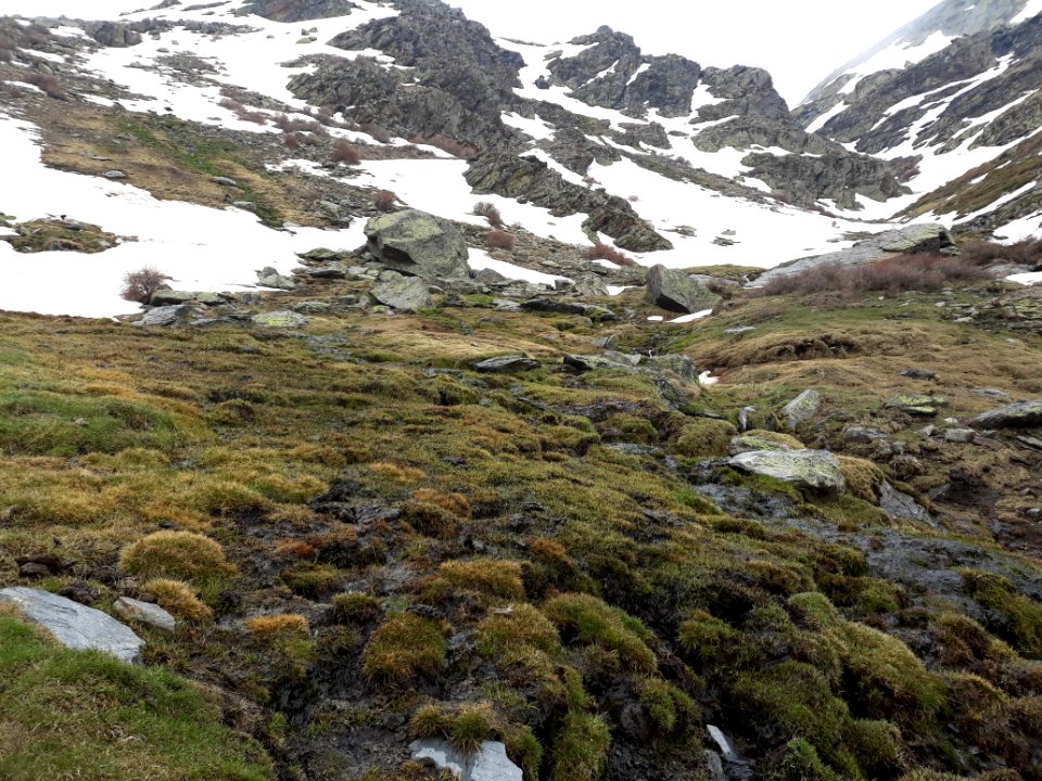 SierraNevada1