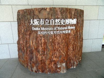 Sign - Osaka Museum of Natural History - DSC07705