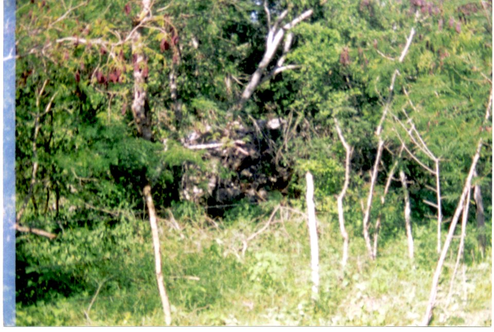 Sierra Papacal, Yucatán (05)