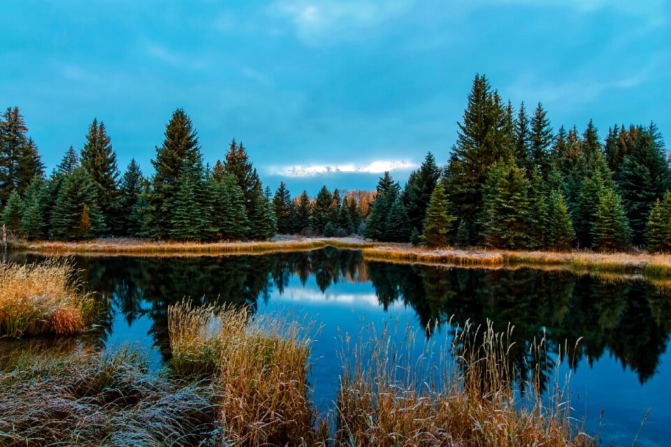 Mountains forest trees photo