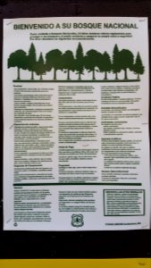 Sign in Spanish at Grizzly falls