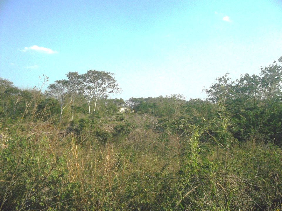Siniltún, Yucatán (01)