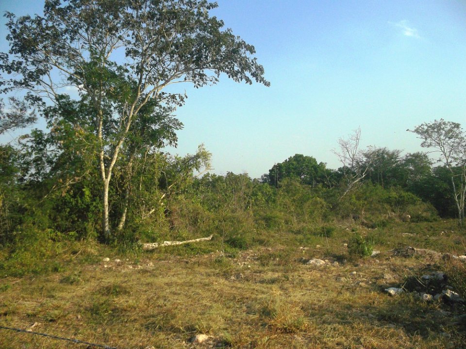 Siniltún, Yucatán (02)
