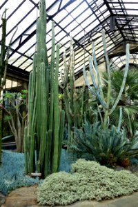 Silver Garden - Longwood Gardens - DSC01106