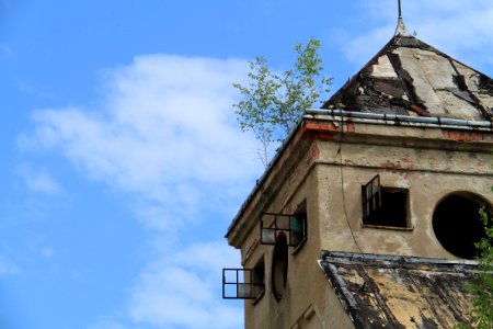 Singwitz 2012-05-28-7662