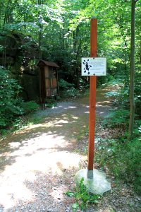 Singwitz 2012-05-28-7678