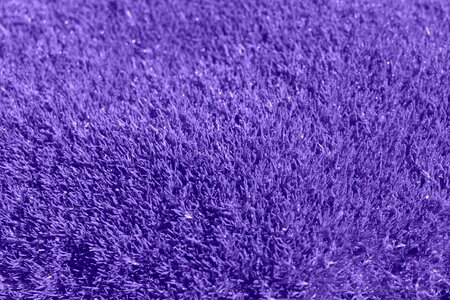 Lilac carpet fabric photo