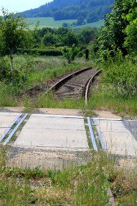 Singwitz 2012-05-28-7713