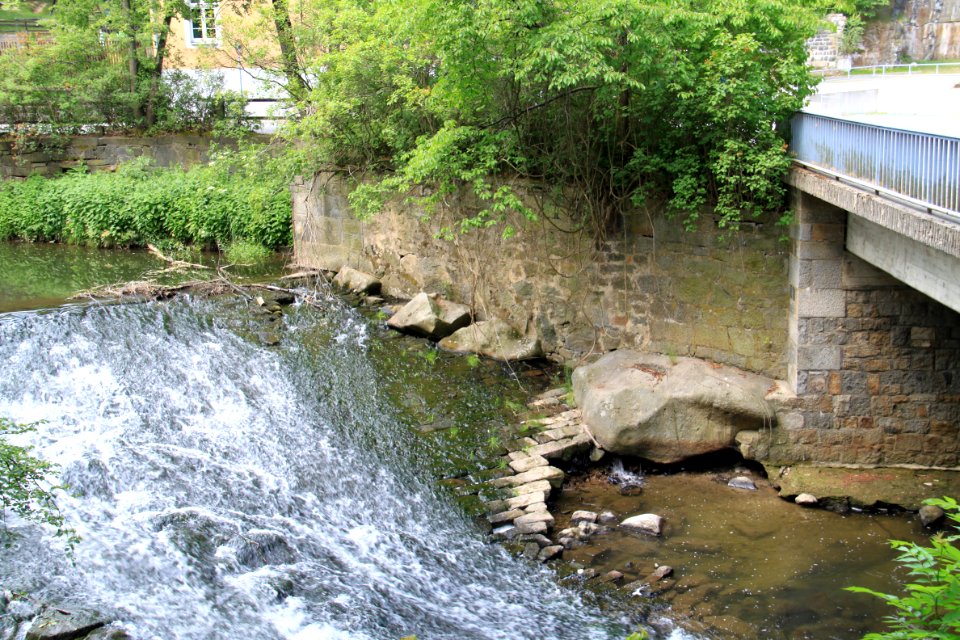 Singwitz 2012-05-28-7674