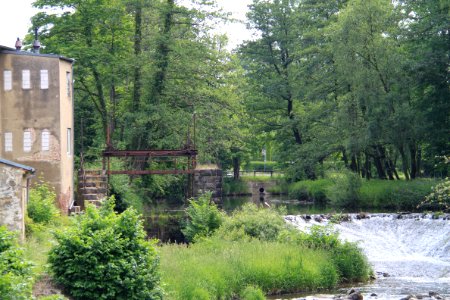 Singwitz 2012-05-28-7670