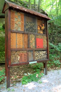 Singwitz 2012-05-28-7680