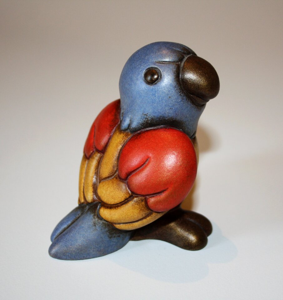 Color animals beak