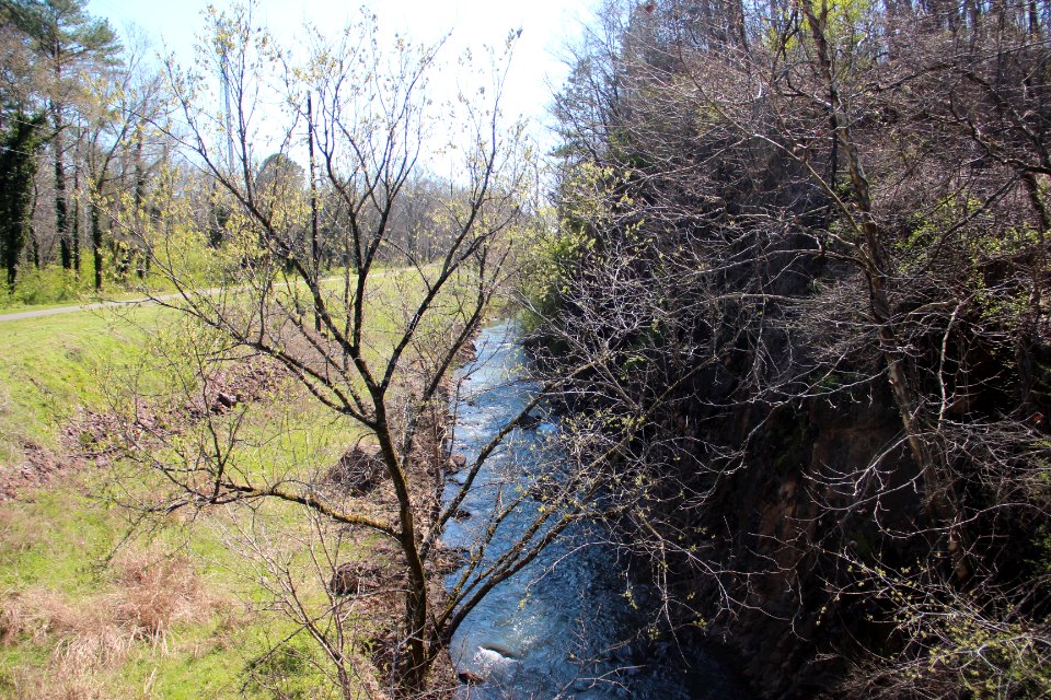 Silver Creek (stream), Rome, GA March 2018