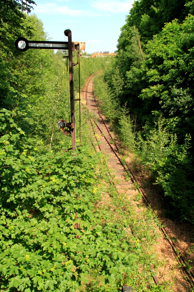 Singwitz 2012-05-28-7685