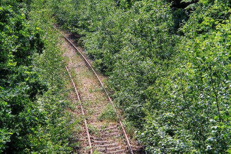 Singwitz 2012-05-28-7687