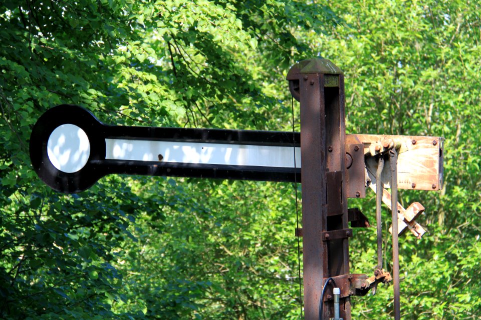 Singwitz 2012-05-28-7689