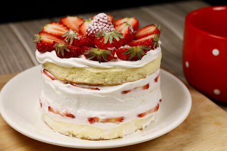 Baking delicious strawberry cake