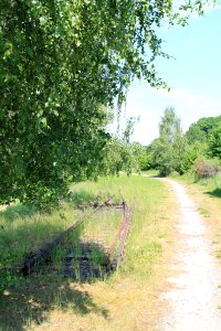 Singwitz 2012-05-28-7702