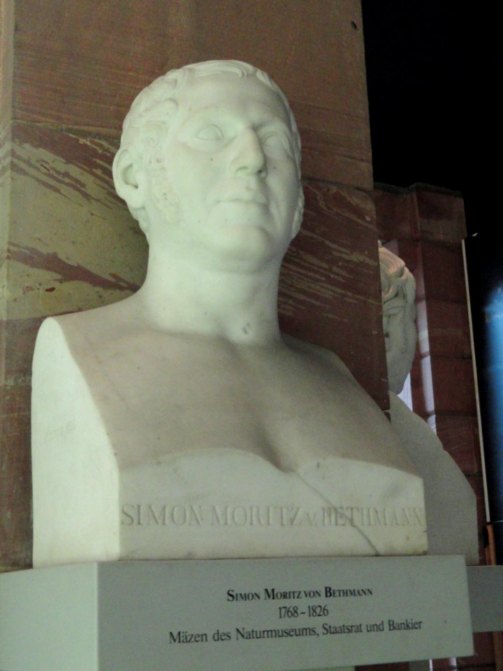 Simon Moritz von Bethmann - Naturmuseum Senckenberg - DSC02256