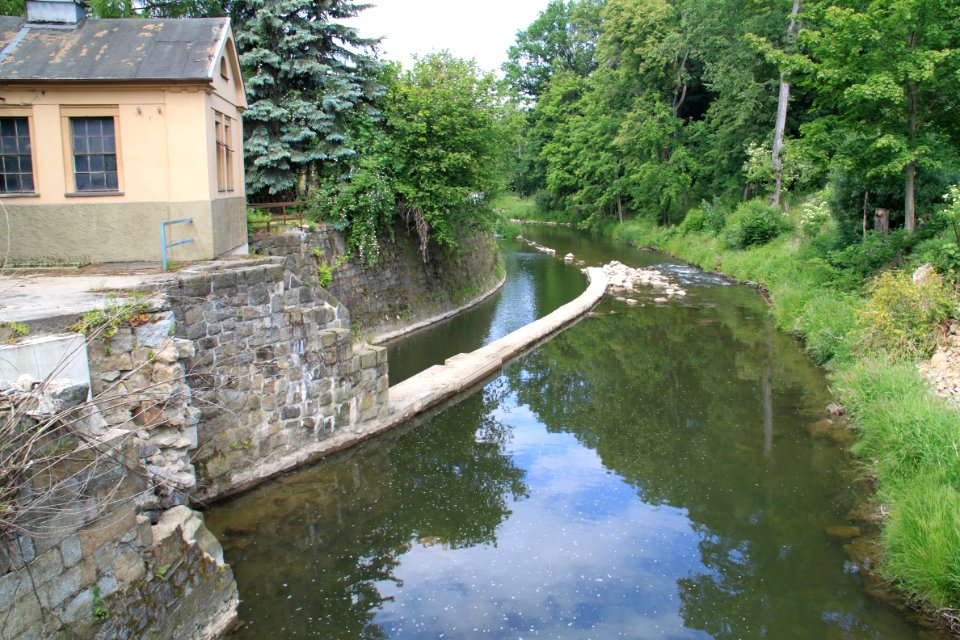 Singwitz 2012-05-28-7666