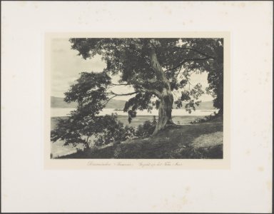 Simanindoe (Samoesir). Gezicht op het Toba Meer, Bestanddeelnr 843 62