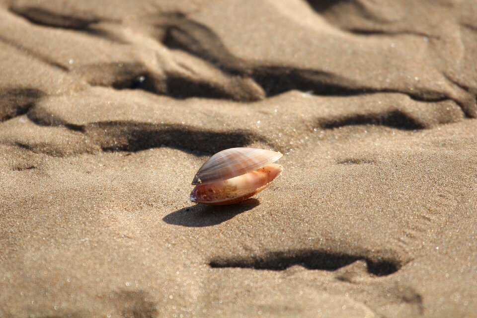 Ocean the sea bottom sand