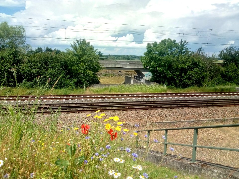 Silzenwiesen, Auslassbauwerk (3)