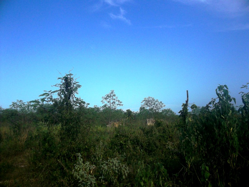 Sihonal, Yucatán (01)