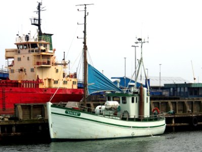 Signe, fishing vessel at Greena