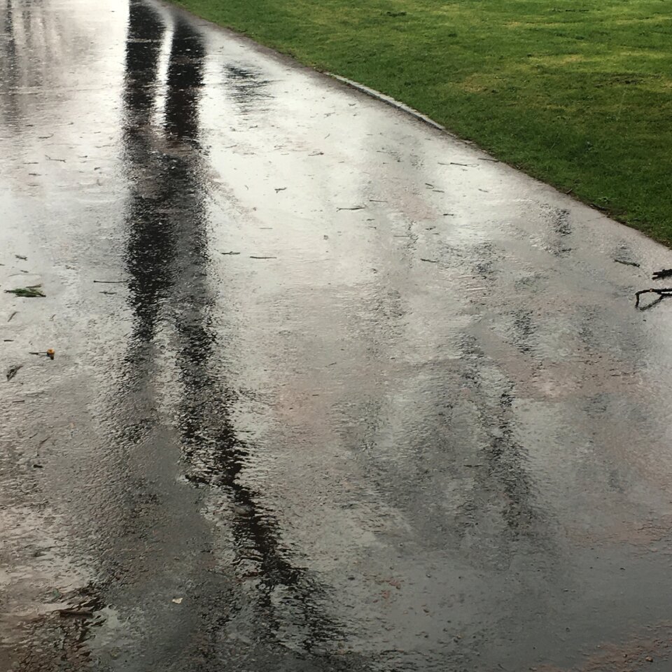 Moisture rainy city