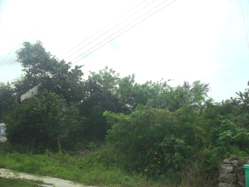 Sihunchén, Yucatán (05)