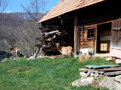 Silovec Pagan Cave 02