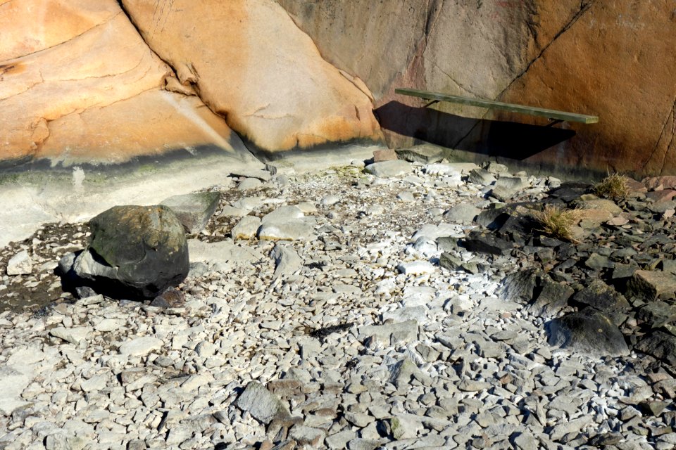 Silt-covered stones in Loddebo