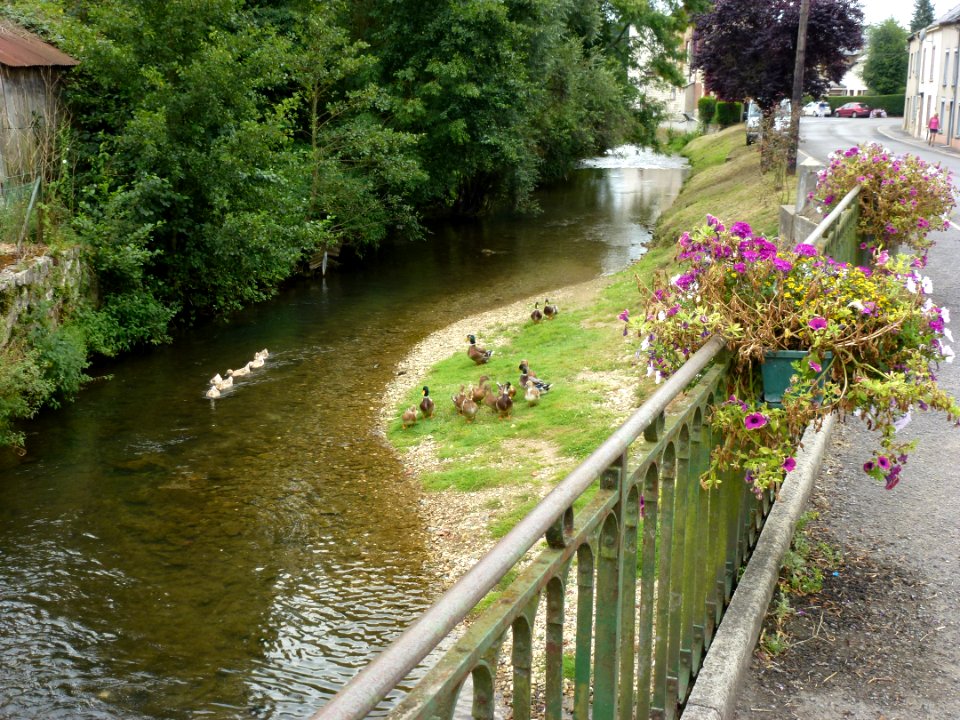 Signy-l'Abbaye (Ardennes) Vaux River