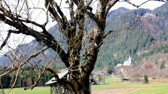 St Lorenzen im Gitschtal2
