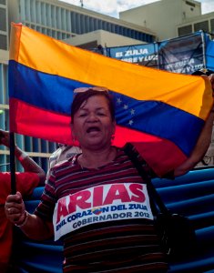 Simpatizante y activista político de Arias Cardenas