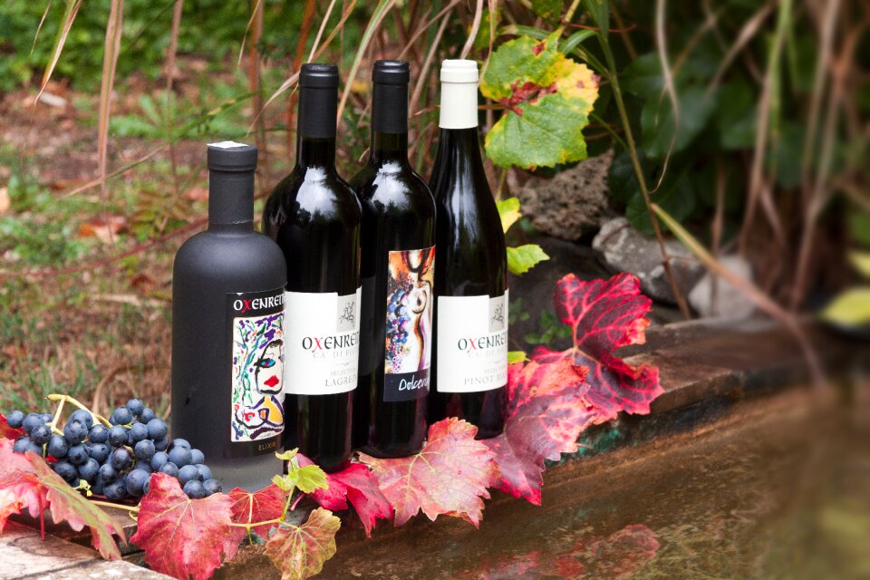 Grape leaf wine harvest