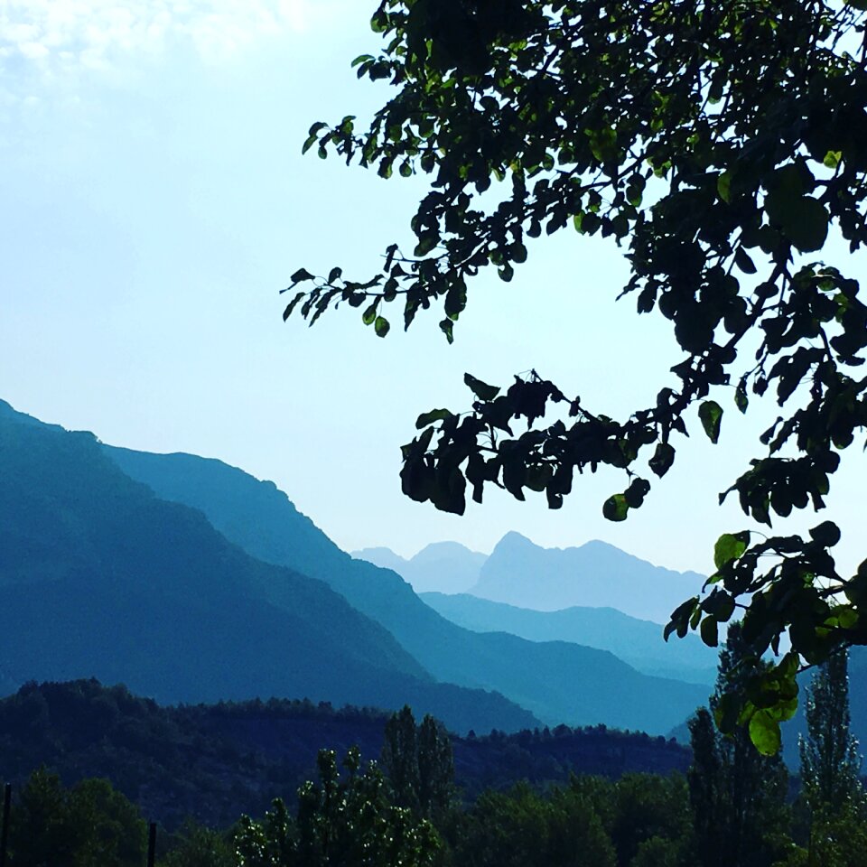 Mountains tree shades
