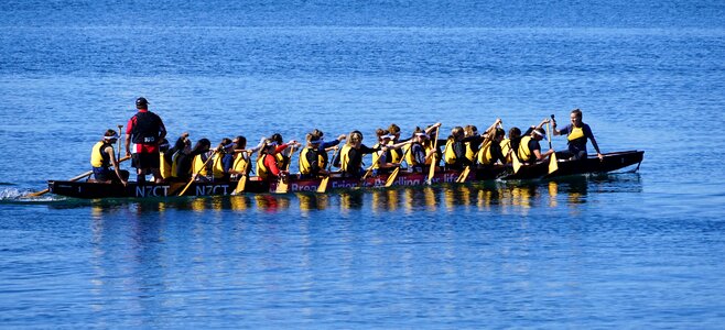 Boat race new zealand paddle